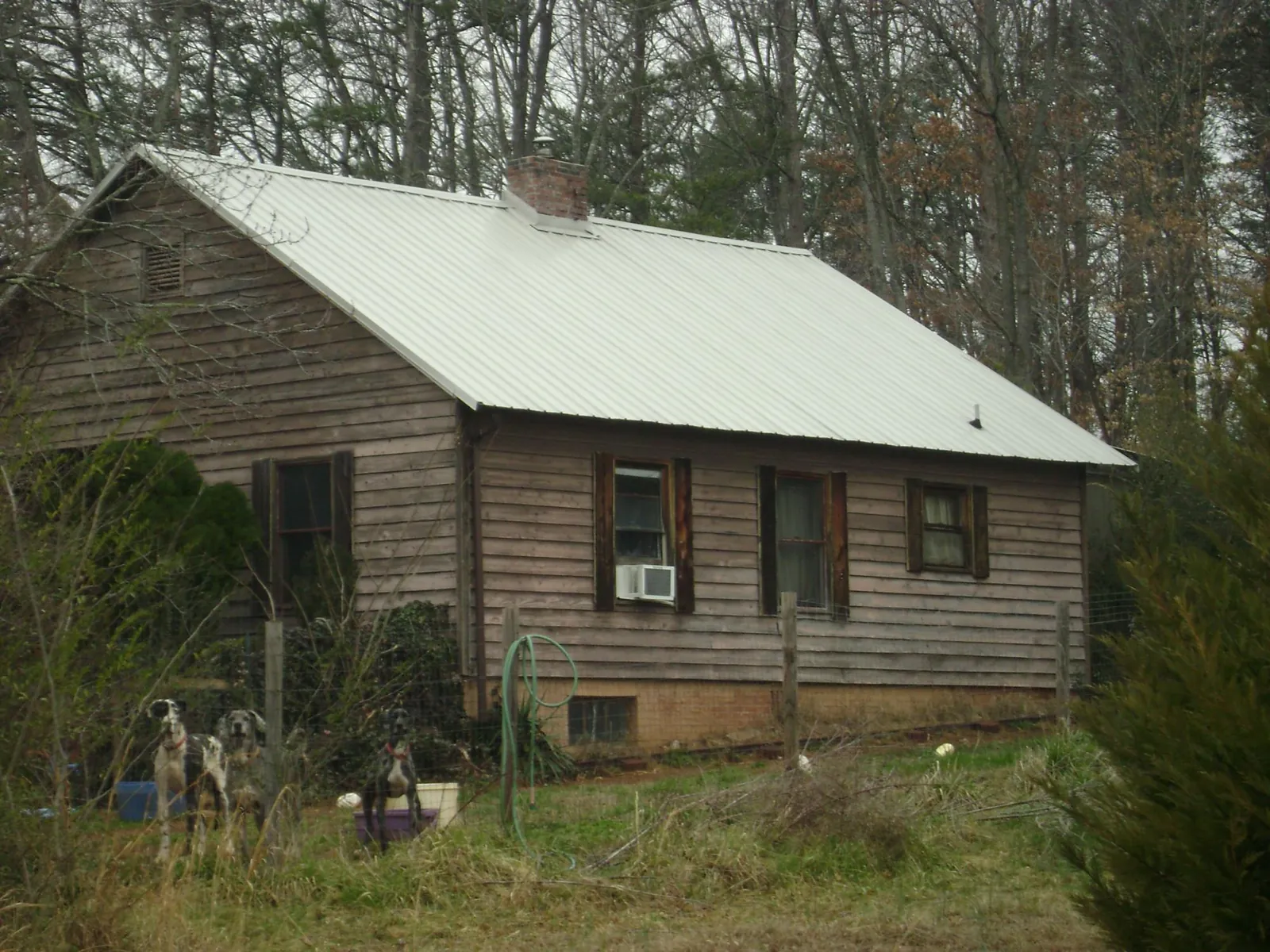 White metal roof on an old wood sided farmhouse, from a Asphalt Shingle Roof Repair job in Whitewater
